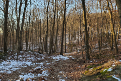 20210110_080016