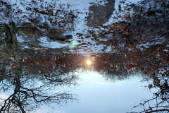 20210110_082542