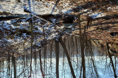20210110_090125