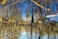 20210110_090132