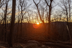 PXL_20210110_123234842