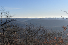 PXL_20210110_133146288