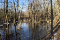 PXL_20210110_140053071