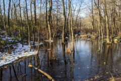 PXL_20210110_140058064.MP_