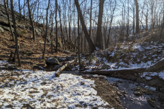 PXL_20210110_140107369