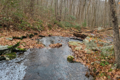 20201115_094345